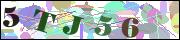CapchaImage
