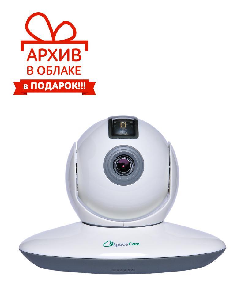 SpaceCam T1, IP-видеокамера корпусная SpaceCam